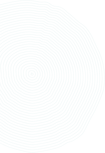Layer